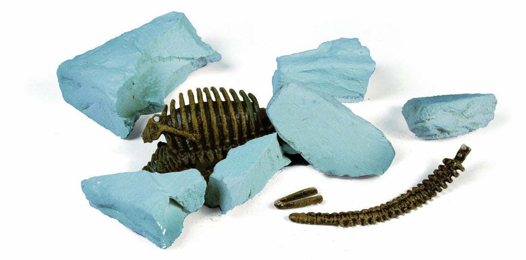 Sea Monsters Excavation Kit - Elasmosaurus Skeleton