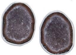 Boucles d'oreilles en argent sterling Tabasco Geode Post