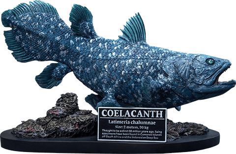 Statue en polyrésine coelacanthe avec socle