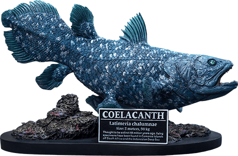 Coelacanth Polyresin Statue with Base