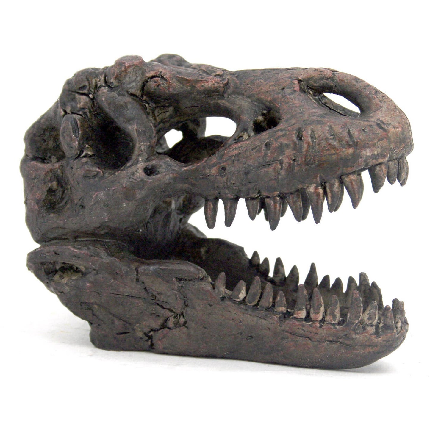 Faux T-Rex Mini Dinosaur Fossil Skull