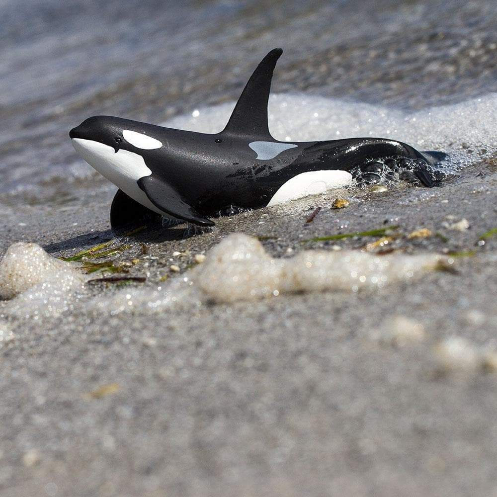Figure - Orca – ROM Boutique
