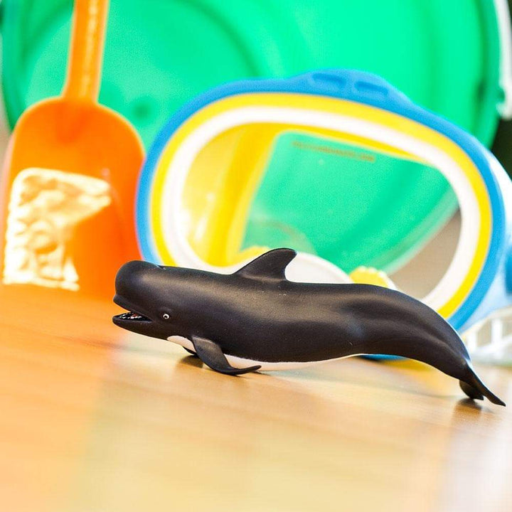 Figure - Baleine Pilote