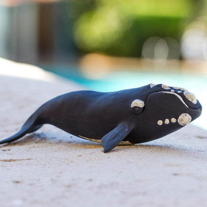 Figure - Right Whale