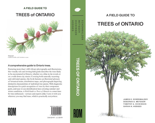 Un guide de terrain sur les arbres de l'Ontario