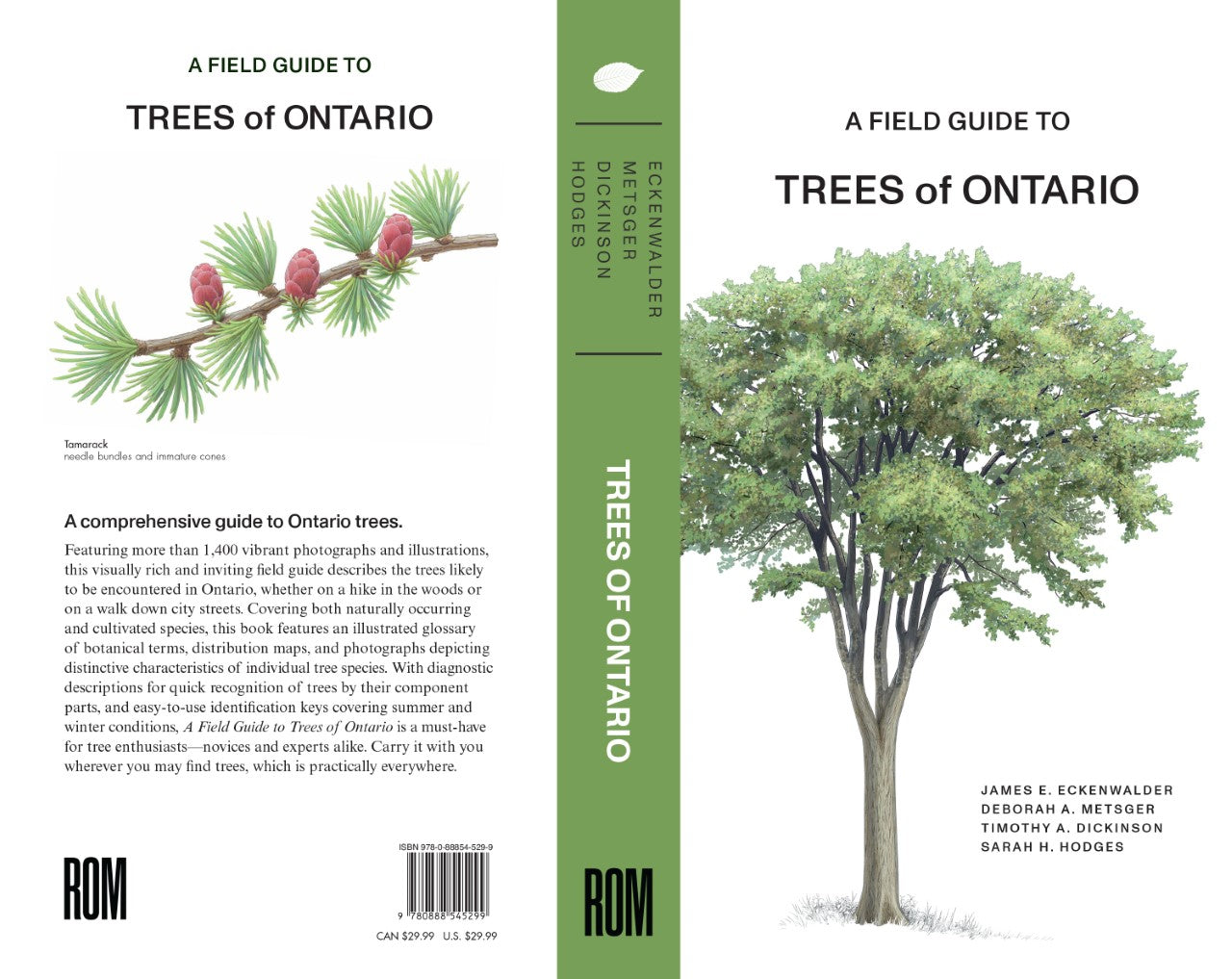 A Field Guide to Trees of Ontario – ROM Boutique