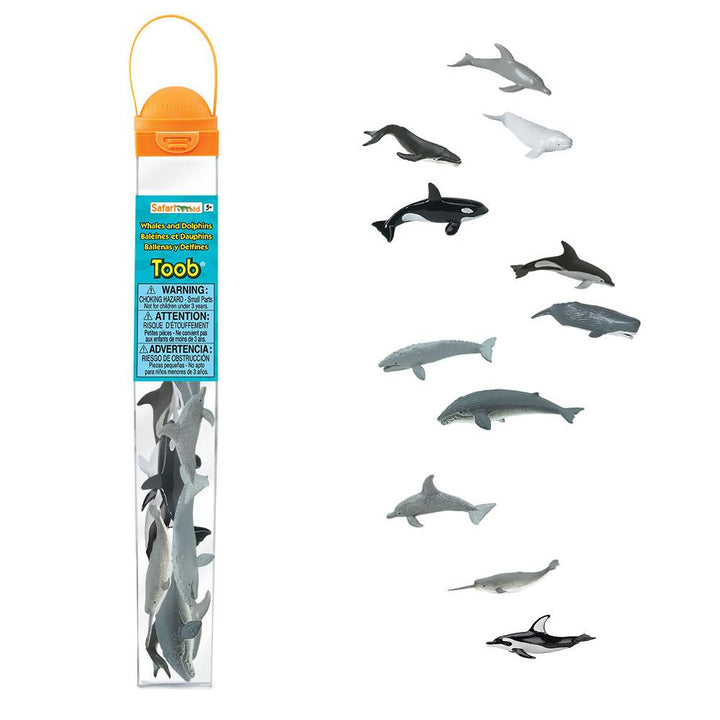 Toob baleines et dauphins